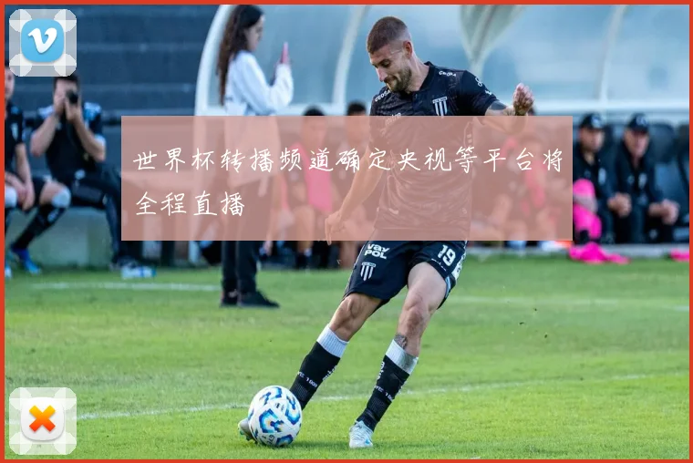 世界杯转播频道确定央视等平台将全程直播