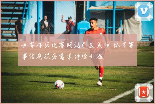 世界杯买比赛网站引发关注 体育赛事信息服务需求持续升温